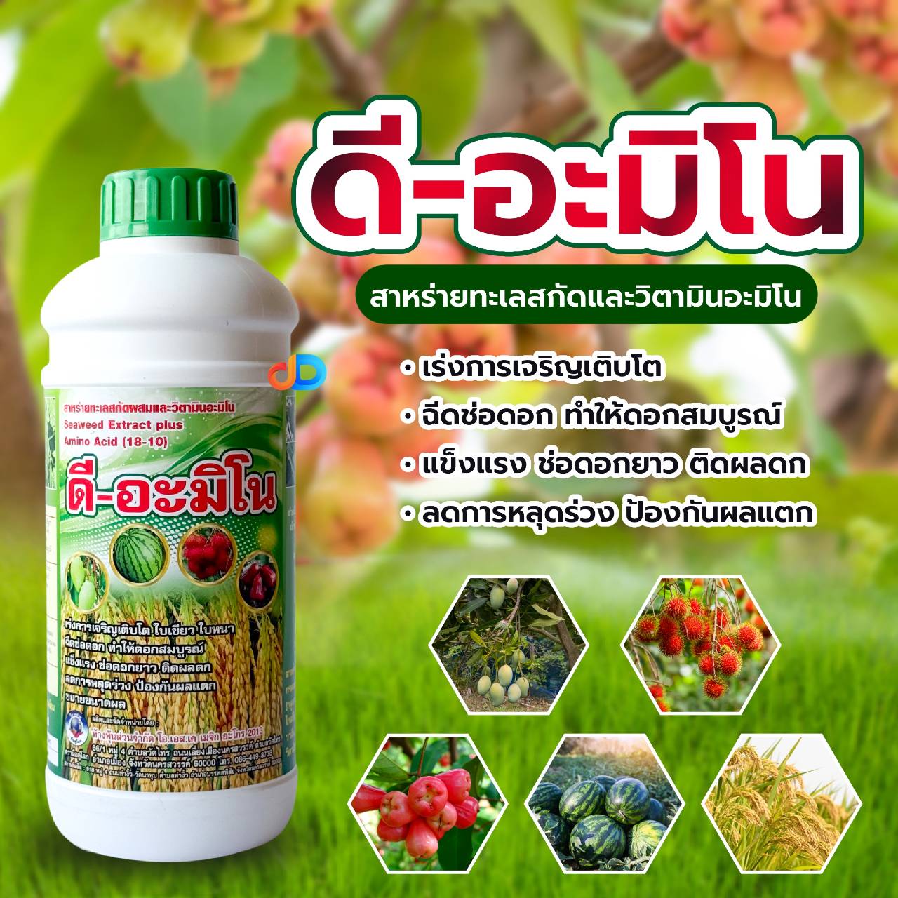 ดี-อะมิโน ขนาด 1 ลิตร สาหร่ายทะเล สกัดผสม และ วิตามินอะมิโน เร่งการเจริญเติบโต บำรุงดอก ลดการหลุดร่วง ขยายขนาดผล