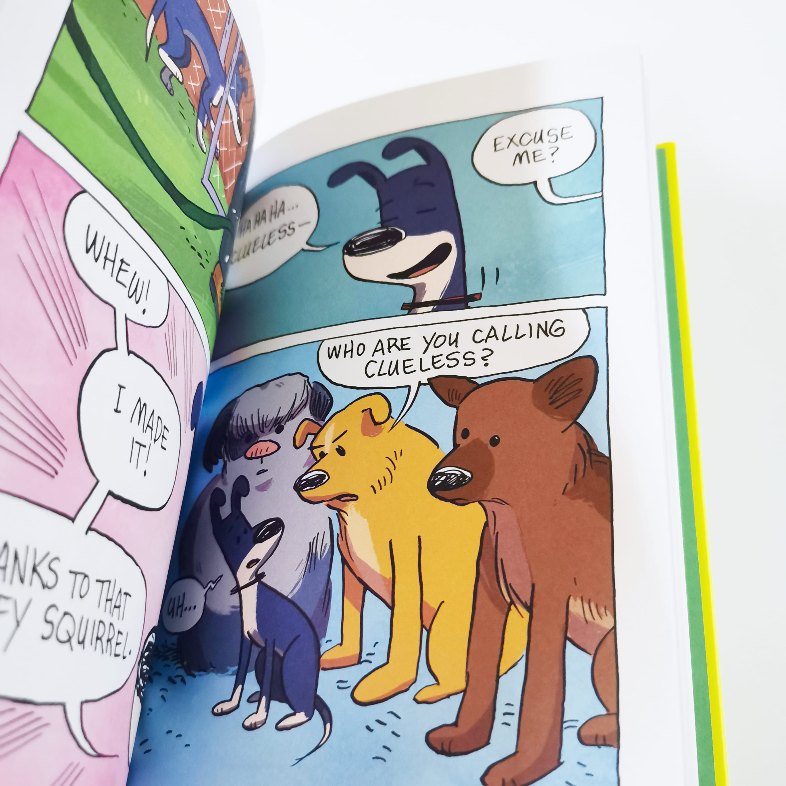 Fetch! (Peanut, Butter, & Crackets)