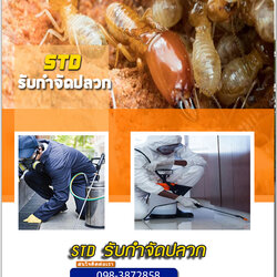 รับกำจัดปลวกขอนแก่น