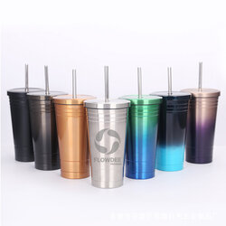 แก้วน้ำสแตนเลส พร้อมหลอด FGS005