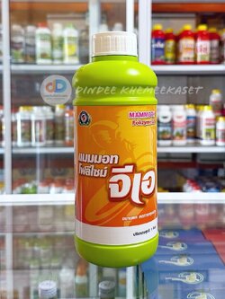 แมมมอท โฟลิไซม์ จีเอ เป็นปุ๋ยเคมีชนิดน้ำ สูตร 0-17-5 ธาตุอาหารหลักที่เป็นประโยชน์ต่อพืช พืชสามารถดูดซึมไปใช้ได้ทั้งทางรากและทางใบ