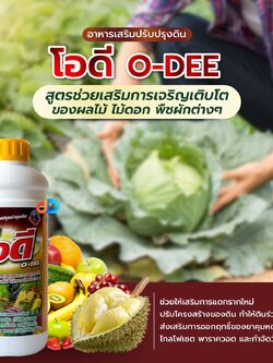 โอดี อาหารเสริม ปรับปรุงดิน *ฮิวมิกซ์ น้ำ* ขนาด 1 ลิตร สูตรช่วยเสริมสร้างการเจริญเติบโตของผลไม้ ไม้ดอก พืชผักต่างๆ