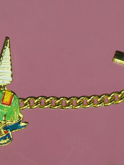 A517 กลัดติดไทก์ ฉลองสิริราชสมบัติ ครบ 50 ปี 5