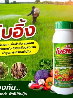 โบอิ้ง แมกนีเซียม+สังกะสี ขนาด 1 ลิตร เพิ่มราก เพิ่มลำต้น แตกกอ ลำต้นแกร่ง ใบเขียวธง บำรุงให้พืชเจริญเติบโตได้อย่างดี