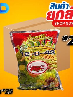 (ยกลังx25กิโลกรัม)ไวเลอร์บิ๊ก 12-0-43 ปุ๋ยเกร็ดสูตรเร่งเต่ง สูตรลมเบ่ง ติดผล ขยายผล เพิ่มปริมาณและคุณภาพของผลผลิต