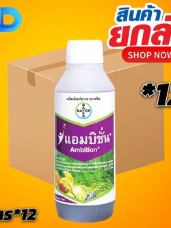 (ยกลัง*12ขวด) แอมบิชั่น อะมิโน+ฟลูวิคเข้มข้น ขนาด1ลิตร ผลิตภัณฑ์สารอาหารพืชจากBAYER ช่วยบำรุงให้ต้นแข็งแรงออกดอกดก