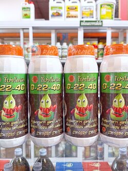 (ชุด4ขวด)ปุ๋ยน้ำ 0-22-40 ขนาด 1 ลิตร สะสมอาหาร สูตรใบแก่เร็ว สั่งหยุดใบอ่อน เตรียมต้น-ใบ