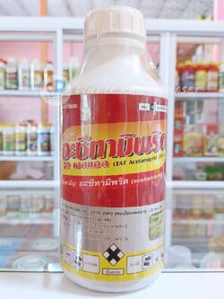 อะซีทรามิพริด TAT สาร อะซีทรามิพริด20%SP ขนาด 1 ลิตร สารกำจัดแมลงชนิดดูดซึม กำจัดเพลี้ยไฟ แมลงหวี่ขาว เพลี้ยจั๊กจั่น เพลี้ยกระโดด แมลงบั่ว ด้วงหมัด แมลงสิง แมลงเต่าทอง เพลี้ยแป้ง