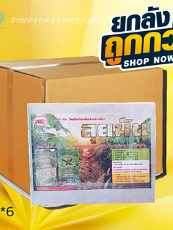 (ยกลัง6 ชุด)ลุยมัน เข้แดง ชุดกำจัดวัชพืชในมันสำปะหลัง หญ้าตีนนก หญ้าปากควาย หญ้าแพรก