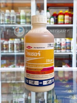 ไรเซอร์ 1ลิตร#พีน็อกซูแลม สารกำจัดวัชพืชใบแคบและกก กำจัดหญ้าในนาข้าว เช่นหญ้าข้าวนก หญ้าดอกขาว หญ้าแดง ผักปอดนา