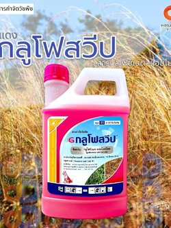 กลูโฟสวีป : ขนาด 4 ลิตร กลูโฟซิเนต-แอมโมเนียม 15% W/V SL ระยอดปลอดฝนสั้น ครึ่งชัวโมง น้ำสีชมพู เร็ว แรง ตายเรียบ