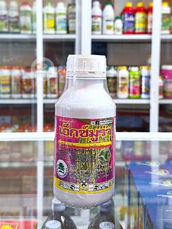 เอ็กซมูร่า ขนาด 500 ซีซี สารไดฟีโนโคนาโซล+โพรพิโคนาโซล15+15% W/V EC เป็นสารกำจัดเชื้อราประเภทดูดซึม