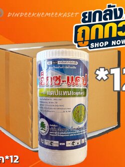 (ยกลัง12กระปุก) เอ็กซ-แคป -เอ็กซตร้า-แคป -แคปแทน 50% WP ขนาด 1 กิโลกรัม # ป้องกันและกำจัด โรคสแคปโรคเน่าดำโรคเน่าสีนํ้าตาล