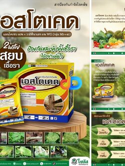 เอสโตเคด 100 กรัม - แมนโคเซบ 60% + วาลิฟีนาเลท 6% WG สารป้องกันกำจัดโรคราน้ำค้าง โรคใบไหม้ โรครากเน่าโคนเน่าในทุเรียน