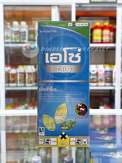 เอโซ่ 30 สารเอ็มพีซีเอ 30% W/V SL ขนาด 1ลิตร สารกำจัดวัชพืชประเภทเจาะจง กำจัดใบกว้าง กก หนวดปลาดุก