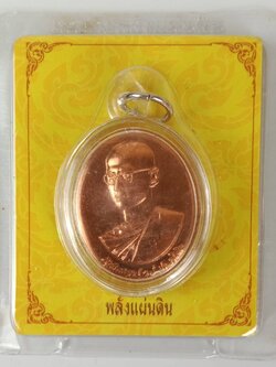 194.เหรียญที่ระลึกทรงผนวชพลังแผ่นดิน