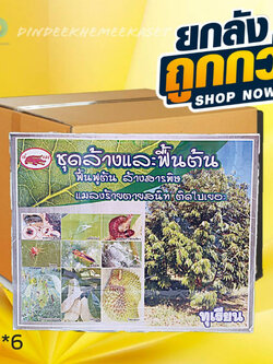 (ยกลัง6ชุด)ชุดล้างและฟื้นต้น ตรา เข้แดง ฟื้นฟูลำต้น ล้างสารพิษ แมลงร้าย ตายสนิท ติดใบเยอะ