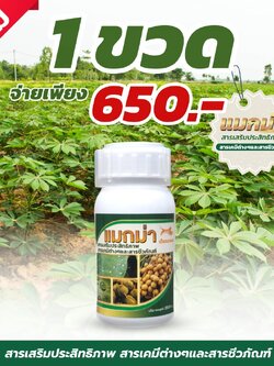 แมกม่า ขนาด250ซีซี 1ขวด