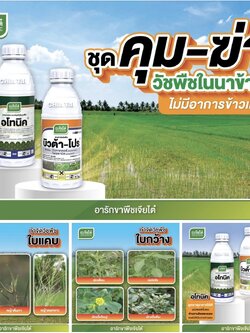 อโทนิค 100 ซีซี + บิวตาร์โปร 1 L ชุดคุม-ฆ่า วัชพืชใบแคบ ใบกว้าง ในนาข้าว ไม่มีอาการข้าวแดง