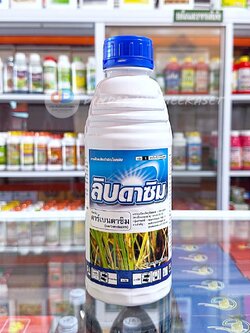 ลิบดาซิม 1 ลิตร - คาร์เบนดาซิม 50% W/V SC สารป้องกันกำจัดโรคกาบใบแห้ง โรคราแป้ง โรคใบจุดสีน้ำตาล