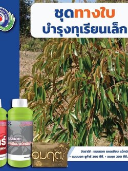 ชุดทางใบ บำรุงทุเรียนเล็ก แมมมอท ชูก้าร์+แมมมอท แคลเซียม แม็กนีเซียม+อมฤต ( โมลิบดินัม )