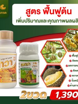 เชตคู่ ชุดเล็ก แมกม่าลาวา (แมกม่า250ซีซี+ลาวา500ซีซี)
