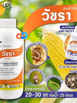 วัชรา - แลมบ์ดา-ไซฮาโลทริน 2.5% W/V EC - สูตรเย็นฉีดผ่าดอกได้ ออกฤทธิ์รวดเร็ว ขนาด 1 ลิตร ป้องกันกำจัดหนอน