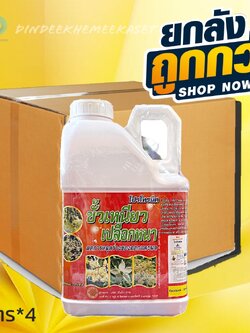 (ยกลัง4แกลลอน)โปรโทรนิค #ขั้วเหนียว เปลือกหนา ลดการหลุดร่วง ของดอกและผล ขนาด 5 ลิตร