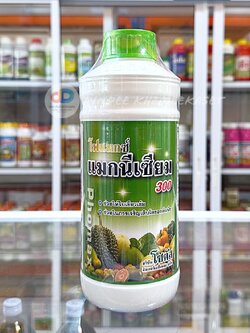 โฟแมกซ์ แมกนีเซียม 300 (Phomax Mg 300) "โฟแมกซ์ แมกนีเซียม 300" ช่วยให้ใบพืชเขียวเข้ม