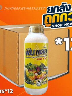 (กดสั่งครั้งละ 1 ลัง!ยกลัง*12ขวด) ฟินแคล (Fin cal) ธาตอาหารรอง ธาตุอาหารเสริม สำหรับพืช ขนาด 1 ลิตร #ป้องกันการขาดธาตุแคลเซียมและโบรอน
