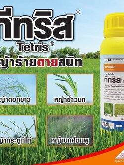 ทีทริส สารโพรฟอกซิดิม7.5% W/V EC ขนาด 500 ซีซี ใช้หลังวัชพืชงอกในนาหว่านน้ำตมกำจัดวัชพืชใบแคบ เช่น หญ้าข้าวนก หญ้าดอกขาว