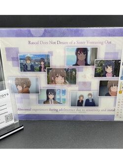 แฟ้ม เรื่องฝันปั่นป่วยของผมกับรุ่นพี่บันนี่เกิร์ล[Rascal Does Not Dream of Bunny Girl Senpai -Clear File-]