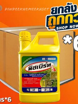 (ยกลัง 6 แกลลอน) พิชเบิร์ท หมาแดง(กลูโฟซิเนต-แอมโมเนียม)4 ลิตรกำจัดวัชพืชทั้งใบแคบ และใบกว้าง กำจัดวัชพืชเช่น หญ้ารังนก หญ้าตีนนก