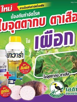 ( ชุด2ขวด) ยาวาร่า ชื่อสามัญ:คลอโรทาโลนิล 50 W/V SC ขนาด 1 ลิตร + เอสโตบิน ชื่อสามัญ: อะซอกซีสโตรบิน 25%