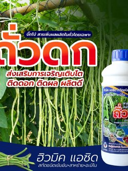 ถั่วดก 1 ลิตร สารเพิ่มผลผิตในถั่วโดยเฉพาะ ฮิวมิกแอซิต สกัดชินเข้มข้น+สาหร่าย+อะมิโน