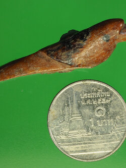 A239 สาลิกาไม้แกะไม่ทราบอาจารย์ พอมีอายุ 12