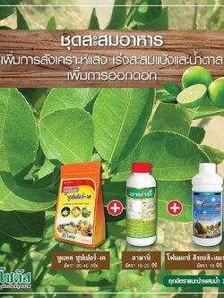 ชุดสะสมอาหาร นูแทค ซุปเปอร์-เค + อามานี่ + โฟแมกซ์ สังกะสี+แมงกานีส600 เพิ่มการสังเคราะห์แสง ช่วยในการออกดอก