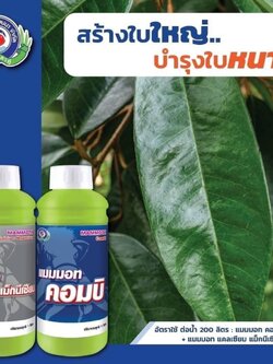 ชุดสร้างใบหนา บำรุงใบหนา แมมมอท แคลเซียม แม็กนีเซียม+แมมมอท คอมบิ ขนาด 1 ลิตร