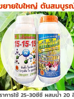 ชุดขยายใบ บำรุงต้น 15-15-15 + สปีดไบด์ ช่วยในการสร้างใบ ขยายใบ ใบเขียวเข้ม ลำต้นแข็งแรงสมบูรณ์ทุกส่วน