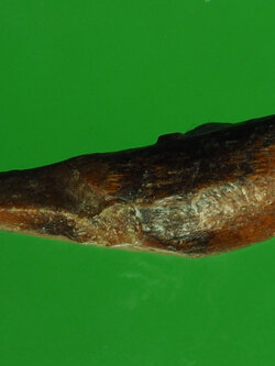 A260 สาลิกา ไม้แกะเก่า ไม่ทราบอาจารย์ 12