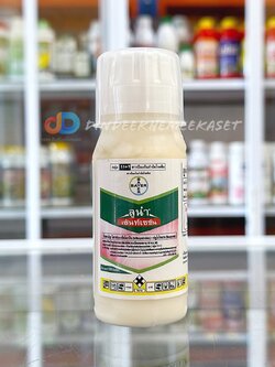 ลูน่า เซ้นท์เซชั่น 100 ซีซี สารฟลูโอไพแรม + ไตรฟลอกซีสโตรบิน 25% + 25% W/V SC สารป้องกันกำจัดโรคใบจุดสีม่วงในหอมหัวใหญ่