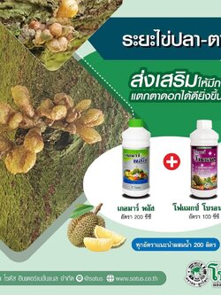 ชุดระยะไข่ปลา ตาปู แตกตาดอกได้ดียิ่งขึ้น เกอมาร์พลัส+โฟแมกซ์ โบรอน 150 ขนาด 1 ลิตร