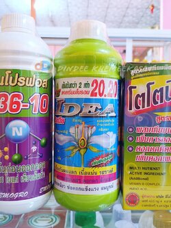 ชุดบำรุงดอก ติดดก 4-36-10 + ไอเดีย20.20 + โตโตนิก ช่วยในการบำรุงดอก สะสมอาหาร ผสมเทียม ติดดก