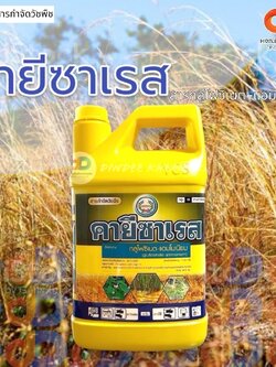 คายีซาเรส หวีทอง(กลูโฟซิเนต-แอมโมเนียม)4 ลิตรกำจัดวัชพืชทั้งใบแคบ และใบกว้าง กำจัดวัชพืชปราบยากเช่น หญ้าเขมร ผักปราบ