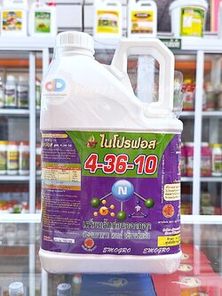 ปุ๋ยน้ำ 4-36-10 ขนาด 5 ลิตร สูตรเตรียมต้นก่อนออกดอก สะสมอาหาร ใบแก่ เขียวเข้มเร็ว