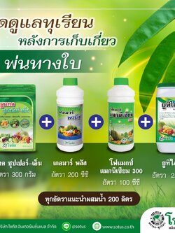 ชุดดูแลทุเรียนหลังการเก็บเกี่ยว นูแทค ซุปเปอร์-เอ็น+เกอมาร์พลัส+โฟแมกซ์ แมกนีเซียม 300+ยูทิไลซ์ (Utilize)