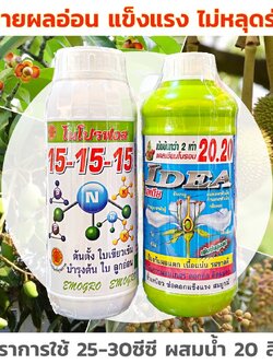 ชุดบำรุงผลอ่อน 15-15-15 + ไอเดีย20.20 ดูแลบำรุงผลอ่อน ลดการหลุดร่วง ฟื้นฟูต้น ลูกจัมโบ้