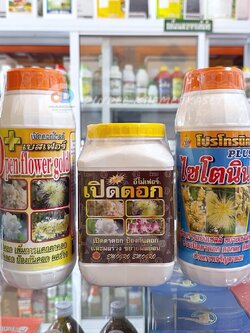 ชุดดึงดอก + ไซโตนิน ( อีโมเฟอร์ + เบสเฟอร์ + ไซโตนิน ) ช่วยในเรื่องเจริญตาดอก เปิดตาดอก บำรุงดอก เพิ่มความยืดหยุ่นของเซลล์