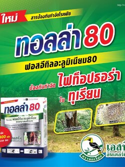 ทอลล่า 80 ตรานกเงือก Fosetyl-aluminium 80% WG สารป้องกันกำจัดโรครากเน่า ราเน่า ชนิดเม็ด ละลายน้ำง่าย ไม่ฟุ้ง