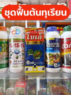 ชุดฟื้นต้น ซีโม่ 100+15-15-15+โบเก้+โอตาด+ฮิวกี้ ทุกตัว ขนาด 1 ลิตร #ฟื้นฟูต้นทุเรียน และพืชทุกชนิด